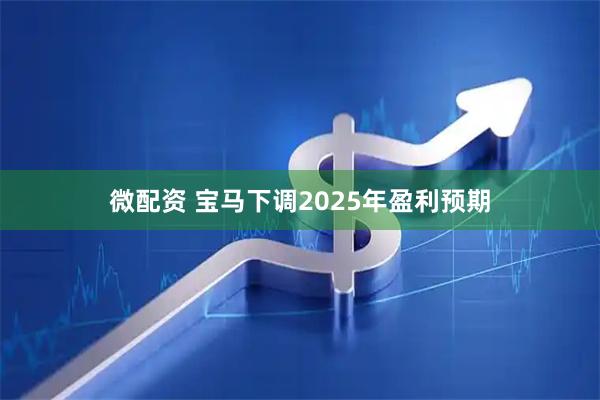 微配资 宝马下调2025年盈利预期