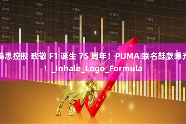 腾思控股 致敬 F1 诞生 75 周年！PUMA 联名鞋款曝光！_Inhale_Logo_Formula