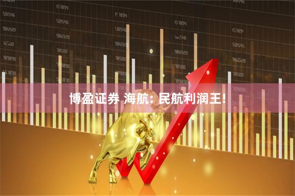 博盈证券 海航: 民航利润王!