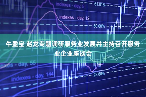 牛盈宝 赵龙专题调研服务业发展并主持召开服务业企业座谈会