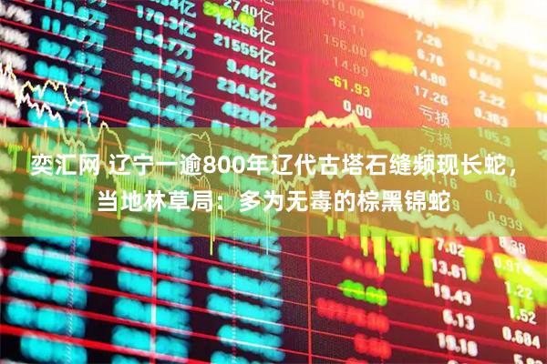 奕汇网 辽宁一逾800年辽代古塔石缝频现长蛇，当地林草局：多为无毒的棕黑锦蛇