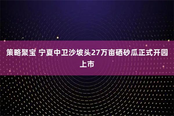 策略聚宝 宁夏中卫沙坡头27万亩硒砂瓜正式开园上市