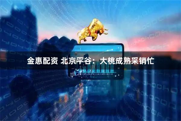 金惠配资 北京平谷:大桃成熟采销忙