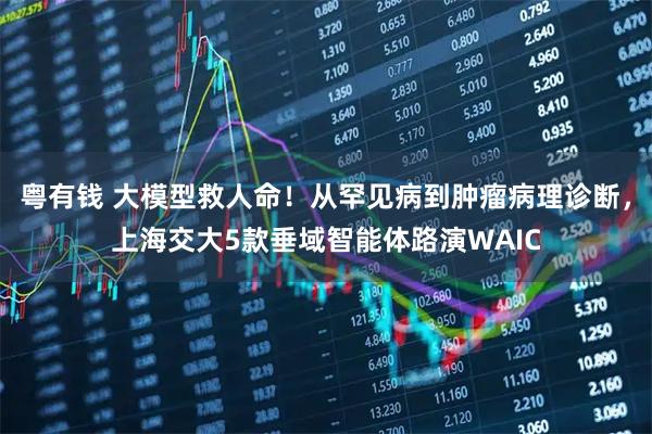 粤有钱 大模型救人命！从罕见病到肿瘤病理诊断，上海交大5款垂域智能体路演WAIC
