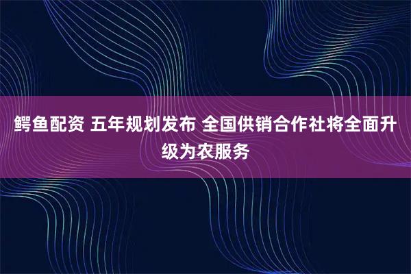 鳄鱼配资 五年规划发布 全国供销合作社将全面升级为农服务